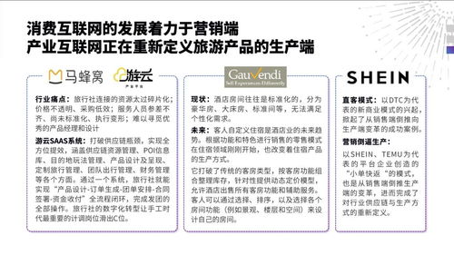 產(chǎn)業(yè)互聯(lián)網(wǎng)重塑旅行服務(wù)業(yè) 中國(guó)旅游研究院發(fā)布發(fā)展報(bào)告